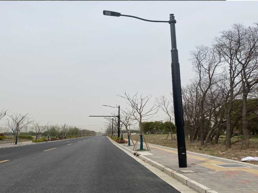 靖边县上海综合杆 太阳能路灯工程